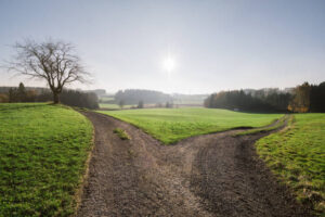 Rork in the road, road through green pastures and trees