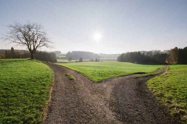 Rork in the road, road through green pastures and trees